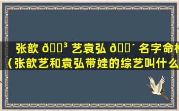 张歆 🐳 艺袁弘 🐴 名字命格（张歆艺和袁弘带娃的综艺叫什么名字）